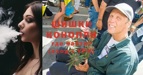СК Бронницы