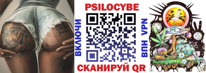 Купить  Гдов  Галлюциногенные грибы Psilocybe 